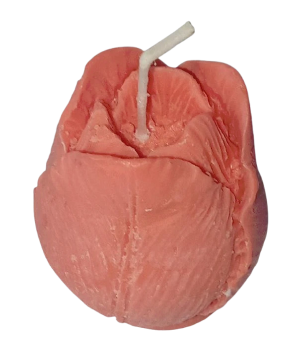 Lilin Aromaterapi Bunga Tulip Isi 10 Pcs