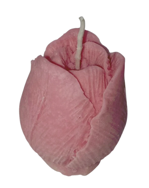 Lilin Aromaterapi Bunga Tulip Isi 10 Pcs