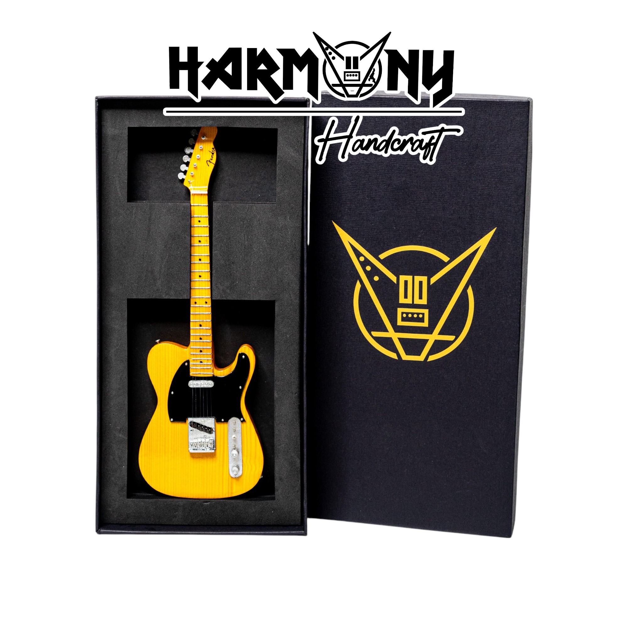 Mini Gitar Fender Bruce Springsteen Mutt