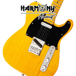 Mini Gitar Fender Bruce Springsteen Mutt