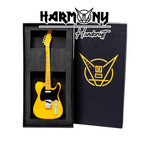 Mini Gitar Fender Bruce Springsteen Mutt