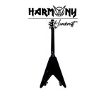 Mini Gitar James Hetfield Hot Rod Flames (METALLICA)