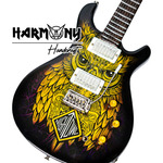 Mini Gitar Little River Band Nightowl