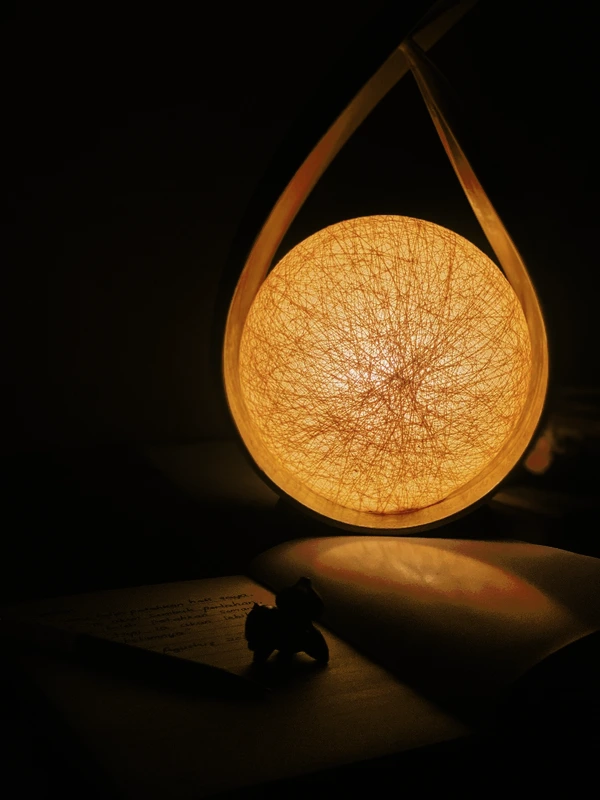 Lampu Hias Pelepah Kelapa - Lampion - Dile Dowel