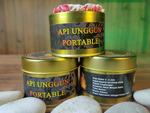 API UNGGUN PORTABLE UNIK RAMAH LINGKUNGAN