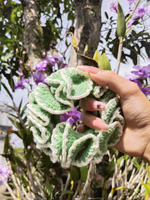 Bona rajut Ikat rambut rajut handmade