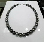 Kalung mutiara laut