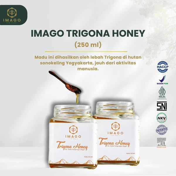 IMAGO TRIGONA HONEY 250 ML