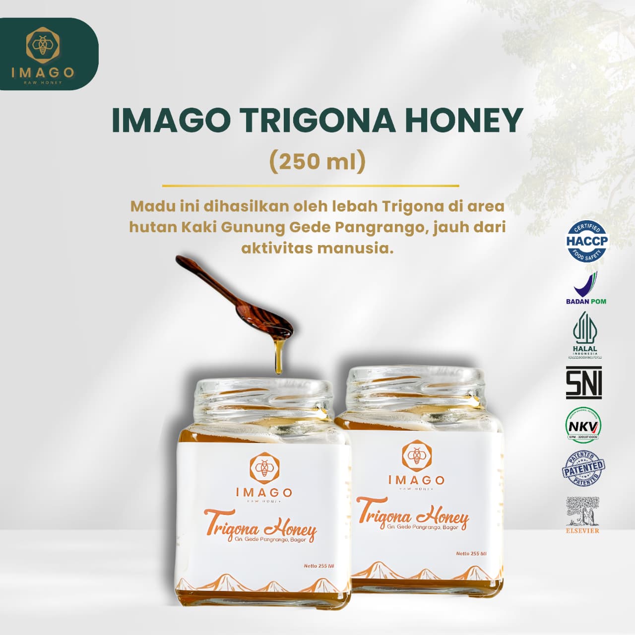 IMAGO NUTTY HONEY 240 GR