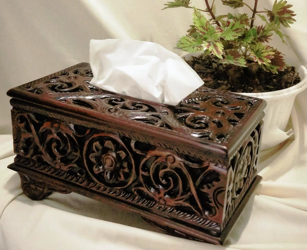 kotak tissue