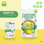 Famchips Jackfruit Chips (Keripik Nangka)