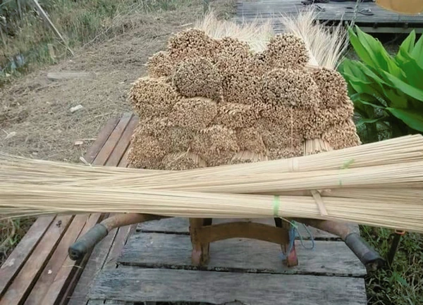 Lidi Nipah