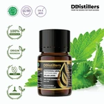Patchouli (Java) / Nilam Jawa Essential Oil Pure 100%, 2-10ML GS