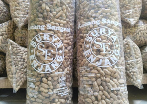 Kacang sangrai SE