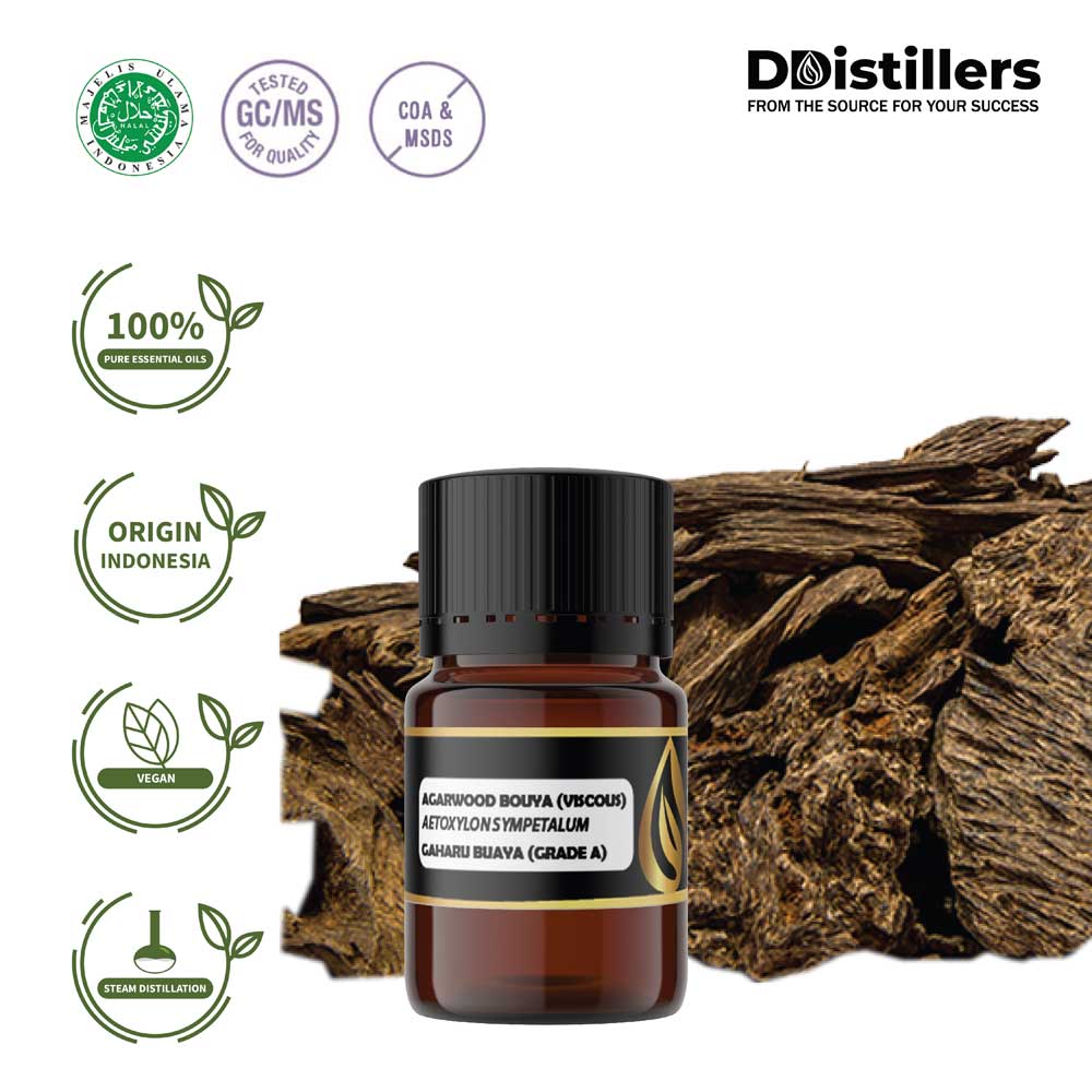 Agarwood Bouya Viscous / Gaharu Buaya Essential Oil Pure 100%, 2-10ML GS