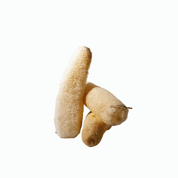 Natural Loofah