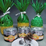 Syantang Manisan Ketan  Khas Kalimantan 250 g & 300 g