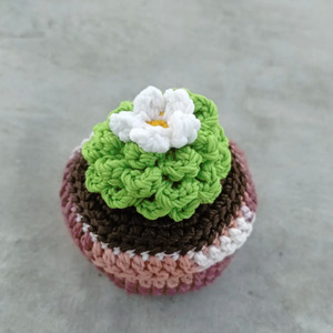 Cactus Crochet