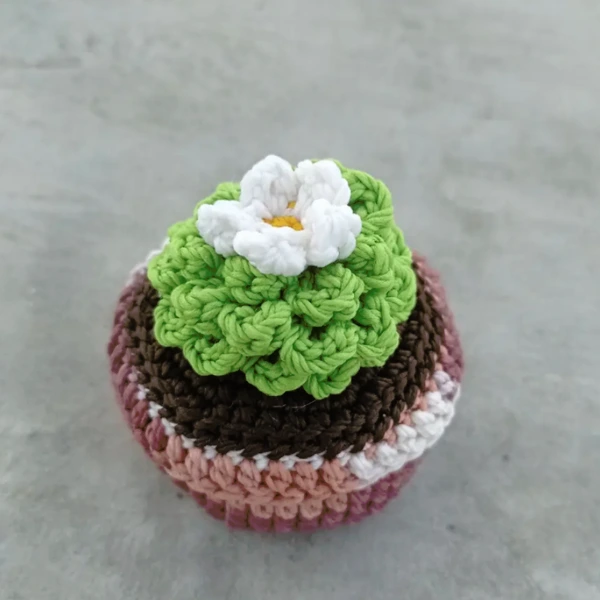 Cactus Crochet