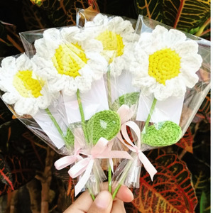 Daisy Crochet