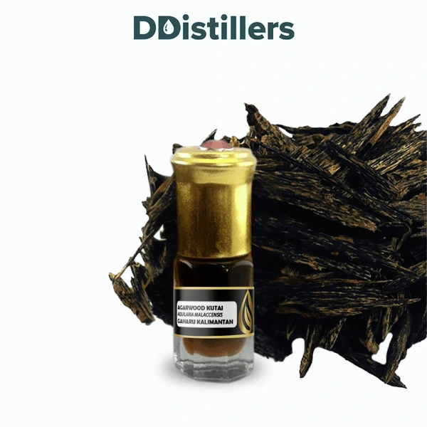 Agarwood Kutai / Gaharu Kalimantan Essential Oil Pure 100%, 3-12ML GS