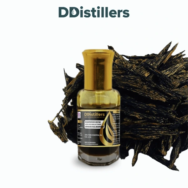 Agarwood Kutai / Gaharu Kalimantan Essential Oil Pure 100%, 3-12ML GS