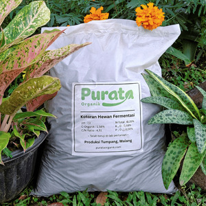 Pupuk Organik dan Eco Enzyme - Purata Organik