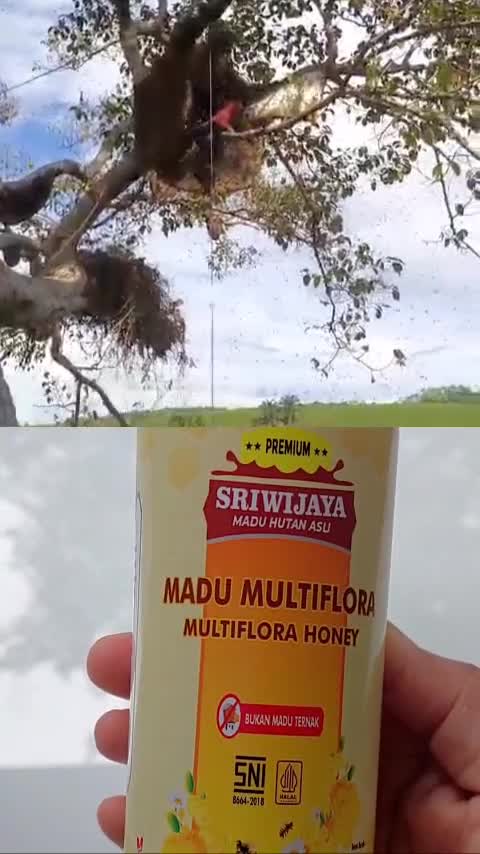Madu Hutan Asli Sriwijaya varian Multiflora 350 gram