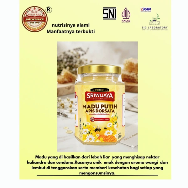 Madu hutan asli stiwijaya ,varian madu putih apis dorsata