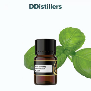 Basil (Sweet) / Selasih Essential Oil Pure 100%, 2-10ML GS