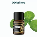 Basil (Sweet) / Selasih Essential Oil Pure 100%, 2-10ML GS