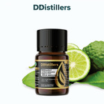 Bergamot / Jeruk Bergamot Essential Oil Pure 100%, 2-10ML GS