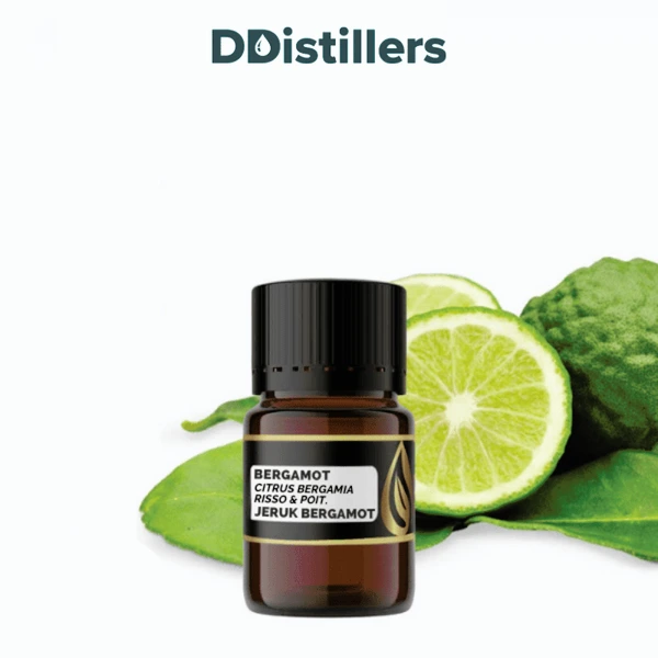 Bergamot / Jeruk Bergamot Essential Oil Pure 100%, 2-10ML GS