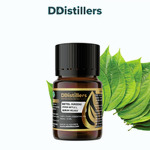 Betel (Green) / Sirih Hijau Essential Oil Pure 100%, 2-10ML GS