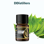 Betel (Green) / Sirih Hijau Essential Oil Pure 100%, 2-10ML GS