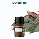 Betel (Red) / Sirih Merah Essential Oil Pure 100%, 2-10ML GS