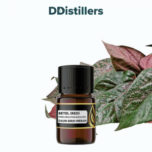 Betel (Red) / Sirih Merah Essential Oil Pure 100%, 2-10ML GS