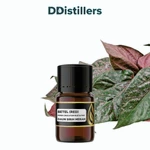 Betel (Red) / Sirih Merah Essential Oil Pure 100%, 2-10ML GS