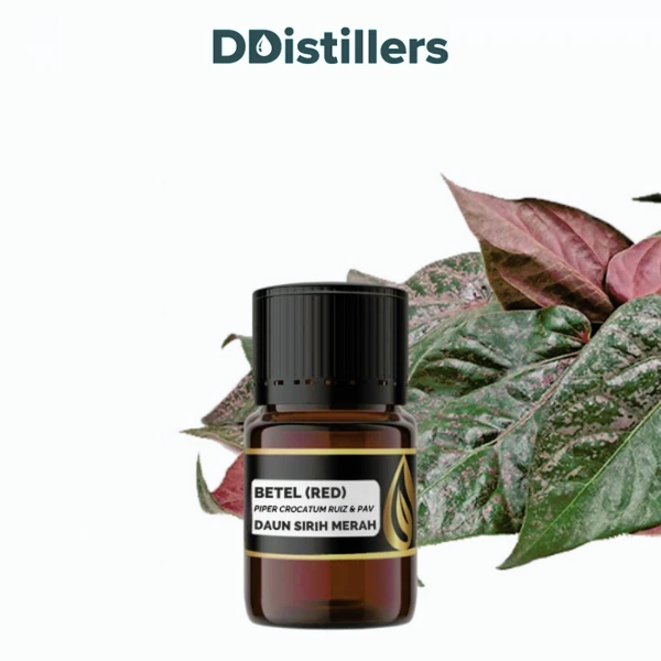 Betel (Red) / Sirih Merah Essential Oil Pure 100%, 2-10ML GS