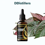 Betel (Red) / Sirih Merah Essential Oil Pure 100%, 50-100ML GS