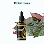 Betel (Red) / Sirih Merah Essential Oil Pure 100%, 50-100ML GS