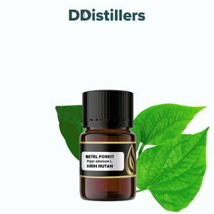 Betel (Forest) / Sirih Hutan Essential Oil Pure 100%, 2-10ML GS