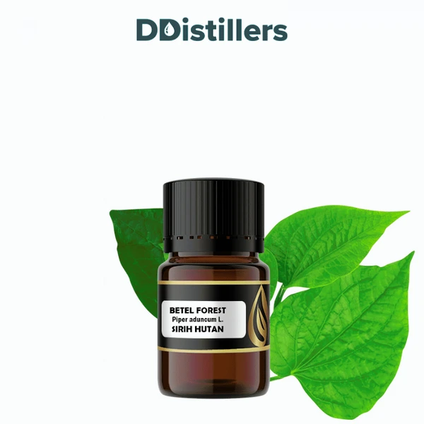 Betel (Forest) / Sirih Hutan Essential Oil Pure 100%, 2-10ML GS