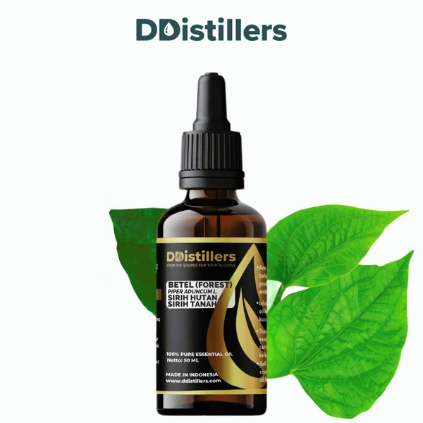 Betel (Forest) / Sirih Hutan Essential Oil Pure 100%, 50-100ML GS
