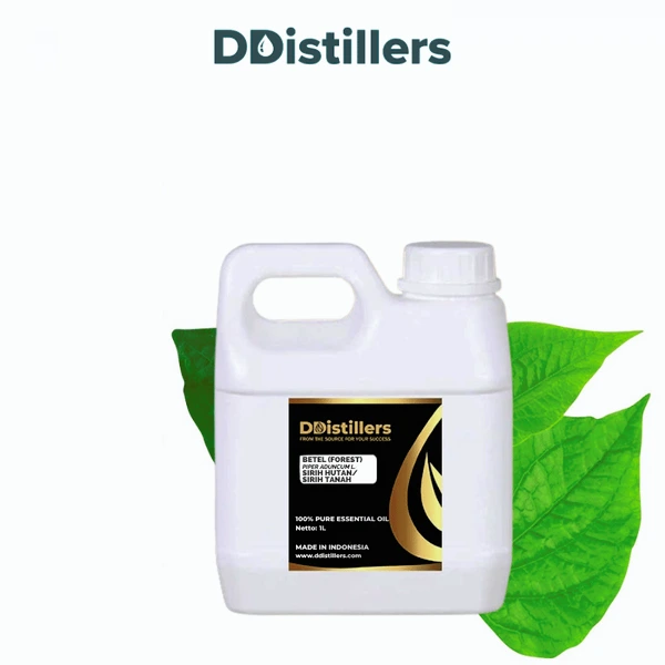 Betel (Forest) / Sirih Hutan Essential Oil Pure 100%, 500ML-1L HDPE/SS