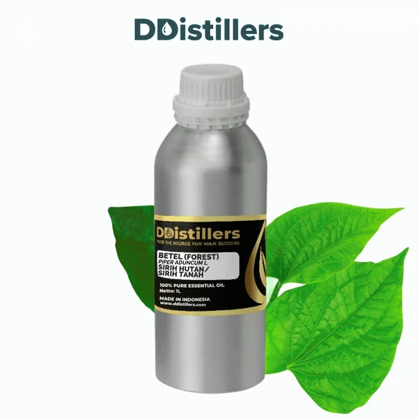Betel (Forest) / Sirih Hutan Essential Oil Pure 100%, 500ML-1L HDPE/SS