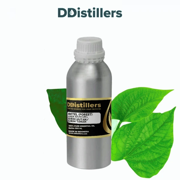 Betel (Forest) / Sirih Hutan Essential Oil Pure 100%, 500ML-1L HDPE/SS