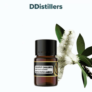 Cajuput (Maluku) / Kayu Putih Ambon Essential Oil Pure 100%, 2-10ML GS