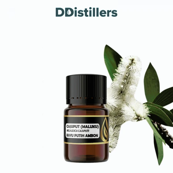 Cajuput (Maluku) / Kayu Putih Ambon Essential Oil Pure 100%, 2-10ML GS
