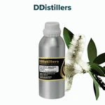 Cajuput (Maluku) / Kayu Putih Ambon Essential Oil Pure 100%, 500ML-1L HDPE/SS
